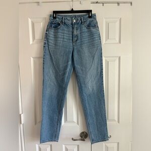 AE Strigid Curvy Mom Jean